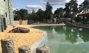 Харьковский зоопарк, который уже через несколько дней распахнет свои двери перед первыми посетители, объявил конкурс. 1kjspr5w0bv0am