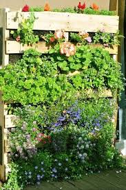 Diy Blumenwand Aus Paletten Diy Pallet Krautergarten Palette Paletten Garten Palettengarten