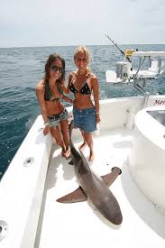 Monster Sharks / BABES AND MANEATER