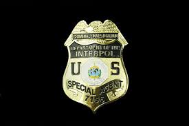 Interpol isn't an international police force as much as networking organization for law enforcement. Criminal Investigation Department Of Interpol Special Agent Badge Org Badge