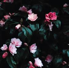 Maybe you would like to learn more about one of these? 45 Broken Heart Quotes Love Quotes About Healing A Sad Broken Heart