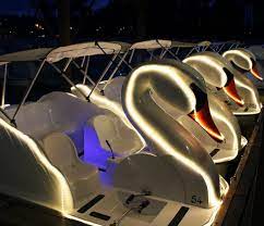 Maybe you would like to learn more about one of these? Los Angeles Favorite Boat Rentals Wheel Fun Rentals Echo Park Swan Boats