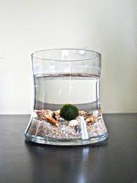 Sale Japanese Marimo Pet Moss Ball Aquarium Cute Aquarium Moss Ball Aquarium Marimo Moss Ball Moss Balls