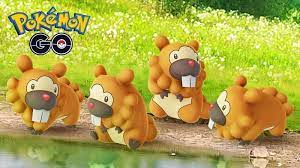 Bidoof Breakout Event Guide And Details Insider Voice