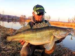 Apropierea de bucuresti o face un loc ideal pentu o partida de pescuit si un gratar la sfarsit de saptamana avand si posibilitatea de campare pa marginea lacului. Hai La Pescuit In Egipt Cu Alex Bucur