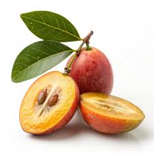 Image result for Ximenia