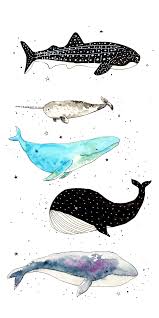 Illustration Animal Wallpaper Iphone Art Illustration Art Wallpaper Iphone Iphone Art Painting Wallpaper