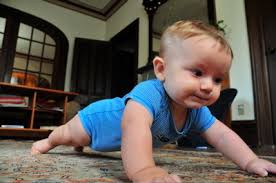 Baby Gourmet The Land Of Bant