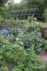 Love the style of an arbor? Cattle Panel Trellis How To Build A Diy Vegetable Garden Arch