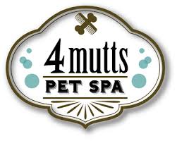 Perfect love pet grooming, llc opened its doors on july 7, 2016. We Provide Dog Grooming Services Cottage Grove Pet Groomer