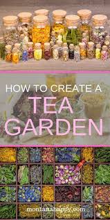 So Erstellen Sie Einen Tee Garten Werden Ihnen Zeigen Wie Einfach Es Ist Die Zutaten Haben Fur Tea Garden Herb Garden Design Gardening For Beginners