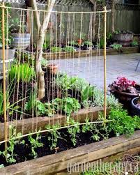 So like any valuable piece of real estate like, say, manhattan, the only thing to do is go up, and garden trellises can help a small footprint produce a lot of food in the air. 22 Best Diy Trellis Ideas Easy Garden Trellis Project Designs