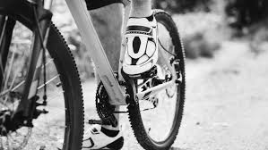 With a single brand, you know what quality you are going for. Top 10 Cycles In India 2021 Price Reviews Brands We Recommend