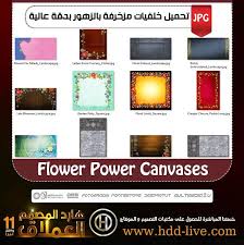 حصريا تحميل خلفيات مزخرفة بالزهور بدقة عالية هارد المصمم العملاق Flower Power Long Flowers Power