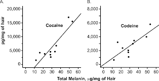 Dose Related Distribution Of Codeine Cocaine And Metabolites Into Human Hair Following Controlled Oral Codeine And Subcutaneous Cocaine Administration Journal Of Pharmacology And Experimental Therapeutics