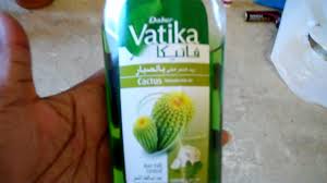 It makes for a good houseplant or ornamental garden succulent. Dabur Vatika Cactus Enriched Hair Oil For Hair Fall Control