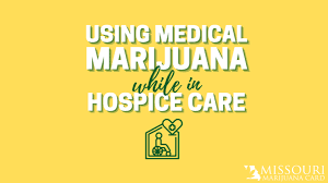 Owning a gun in the united states is an amendment right. Can Hospice Patients Use Medical Marijuana In Missouri Greenway Magazine