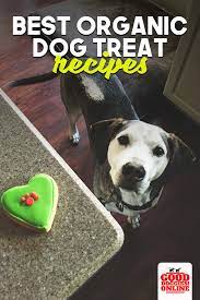 Organic Dog Treat Recipes 5 Natural Dog Treats Good Doggies Online Organic Dog Treats Organic Dog Treats Recipe Dog Treats