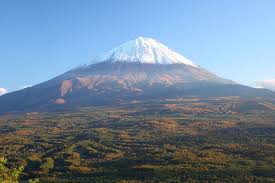 A Forest Of Death At The Base Of Mount Fuji Stripes Japan