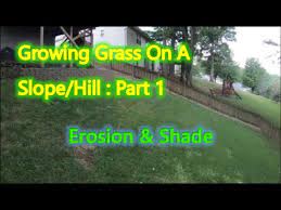 Knowing how to grow new grass without relying on chemicals becomes much easier when you start with grass seed that won't have to fight against the conditions in which it will be grown. How To Grow Grass On A Steep Shaded Slope Hill Part 1 Youtube