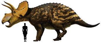 Prehistoric Taxonomy Eotriceratops Xerinsularis Dawn Triceratops Prehistoric Animals Prehistoric Ancient Animals