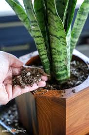 But how can you choose when the garden. Homemade Houseplant Soil Your Plants Will Love Garden Therapy