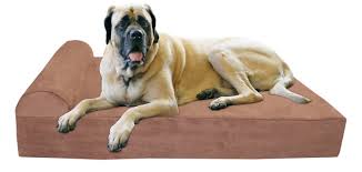 Free shipping on orders $49+ and the best customer service! Drs Foster And Smith Orthopedic Dog Beds Online