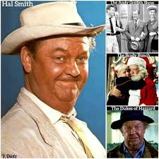 Hal Smith (Actor, Otis The Town Drunk