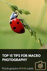 Pin On Photos And Camera