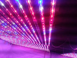 Maybe you would like to learn more about one of these? Promotion 20w T8 Led Grow Tube Light For Indoor Vegetable 660nm 460nm 12000k Best Growth Led Grow Led Grow Tubet8 Led Grow Light Aliexpress