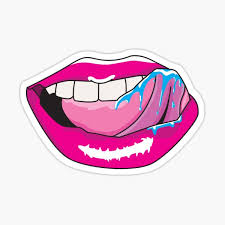 Woman camels funny animals funny funny picture. Saliva Stickers Redbubble