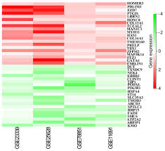Image result for bioinformatics heatmap