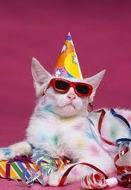 Cat With Colored Spots Wearing Sunglasses Birthday Hat Birthday Sunglasses Birthday Hat Birthday