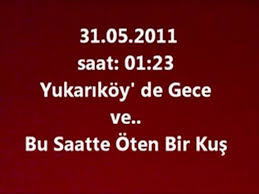 Yukarikoy De Gece Oten Ilginc Kus Dailymotion Video