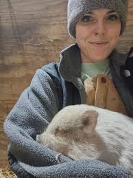 Dog Imitating Blue Heeler's Behavior