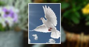 Myrle Runyan Obituary April 23, 2024