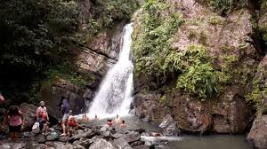The la coca falls is one of the most popular waterfalls in puerto rico which is situated just beside the road and easily accessible in el yunque national park that attracts many tourists and locals each year. Exploring America S Only Rainforest El Yunque National Rain Forest In Puerto Rico Deathbyvlog