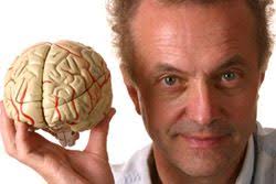 Criminal Minds Are Different From Yours, Brain Scans Reveal