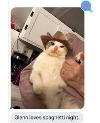 Today it is worn by many people. Cats And Cowboy Hats Cowboycats Twitter
