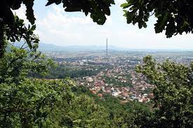 Baia mare, capitala judetului maramures, se profileaza pe fundalul verde si atragator al muntilor gutai. Despre Baia Mare Romania Prezentare Imagini Informatii Turistice Si Detalii Despre Statiunea Baia Mare