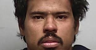 Roswell man accused of machete-wielding, brick throwing pleads not guilty  to all charges