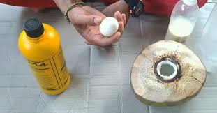 Obat perangsang wanita dan obat tidur memiliki efek yang berbeda. Cara Membuat Pupuk Perangsang Buah Tanaman Cabe Kampustani Com