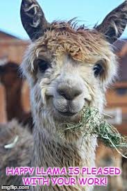 Happy llama, sad llama, really really mad llama, super llama, drama llama, big fat mama llama, dolle llama, dizzy llama, falling on it's head llama, crocked llama, straight llama, hopping threw the medow llama, moose cat fish bear! Happy Llama Imgflip