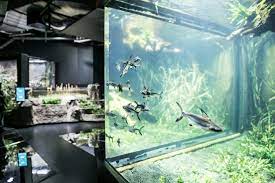 aquatis aquarium vivarium lausanne reisebericht urlaub schweiz reisebericht ausflug