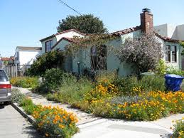 Rick And Monica Alatorre S Garden 3 Bringing Back The Natives Garden Tour