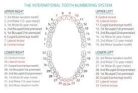 Dentist Palm Beach Gardens Mouth Rehabilitation Dental