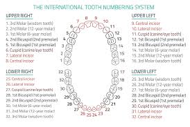 dentist palm beach gardens mouth rehabilitation dental