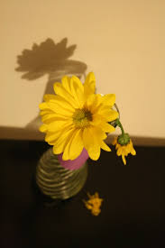 We did not find results for: How To Prevent Bad Odors From The Standing Water In A Flower Vase Dengarden