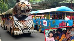 Check spelling or type a new query. Libur Lebaran Naik Kereta Harimau Kereta Tayo Kereta Thomas Keliling Kebun Binatang Youtube