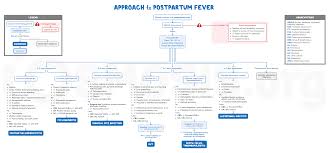 Image result for Postpartum Fever